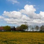 Rondleiding biologische boerderij