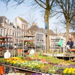 Market Holland Flowers Kampen